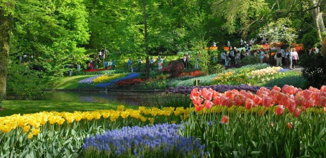 Настаняване в 2* или 3*