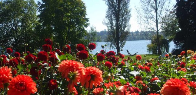 Настаняване в 2* или 3*