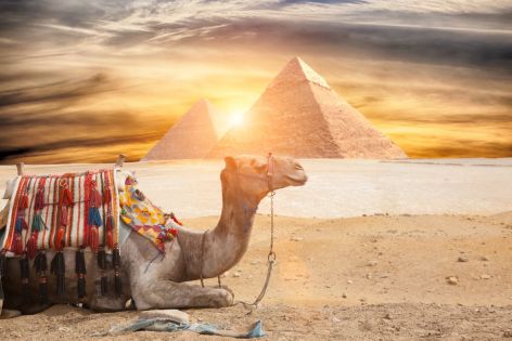 Rewaya Majestic Resort - All Inclusive