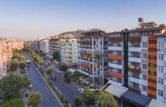 LONICERA CITY KLEOPATRA
